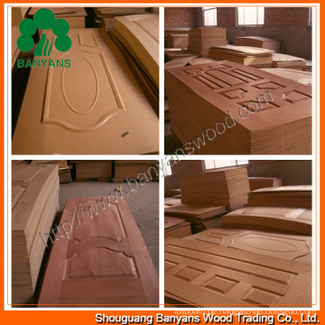 Nature Teak / Esche / Sapele / Buche / Holzfurnier Türhaut